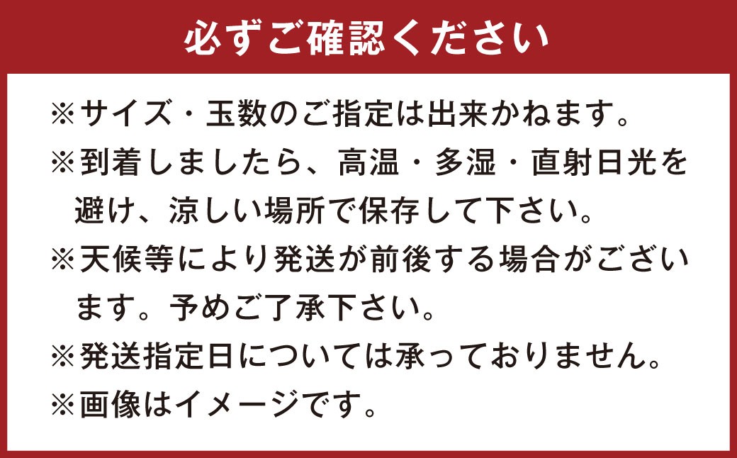不知火（デコポン同品種）