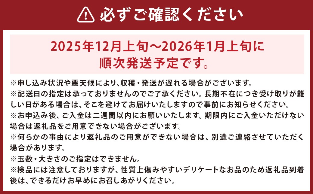 【優品】味ロマン（みかん）約5kg