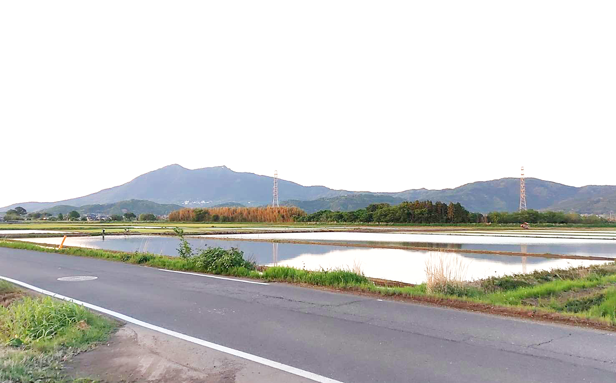 筑波山を望む豊穣な土地