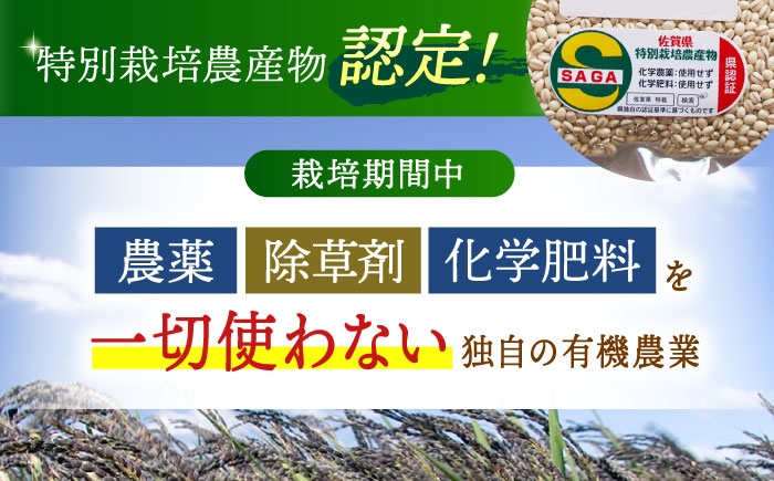 麦 雑穀 雑穀米 麦ごはん 1等麦 特別栽培農産物 佐賀 食物繊維 健康 健康食品 栄養 500g