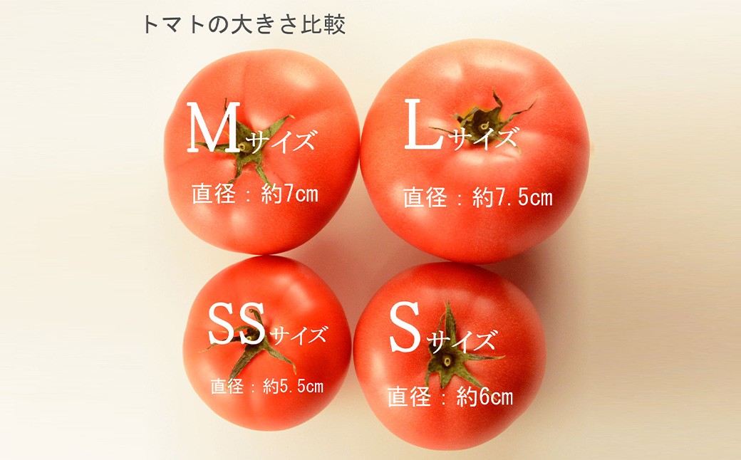 桃太郎トマト S玉 2kg
