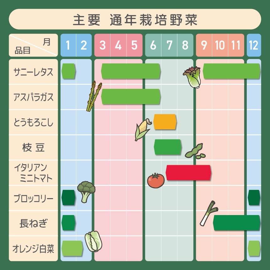 鈴木アル・ファームで育てている野菜です。
