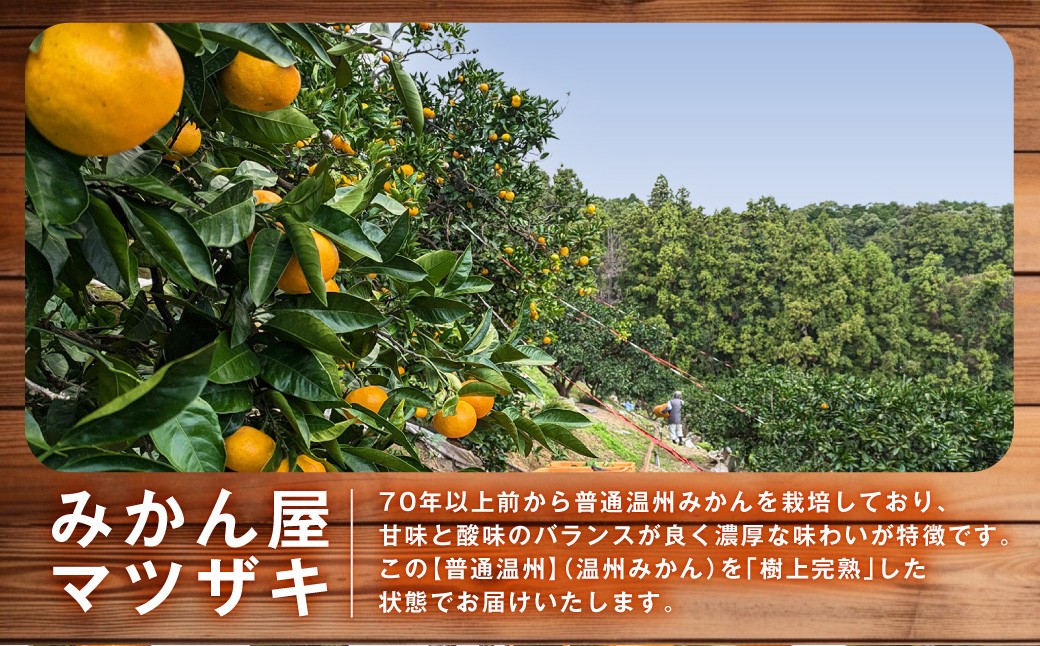 【樹上完熟】長崎みかん（普通温州）約5kg