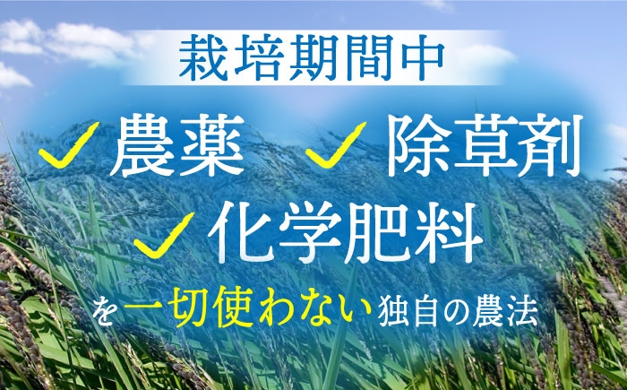 茶 お茶 ティーパック 玄米 玄米茶 焙煎 焙煎茶 ノンカフェイン