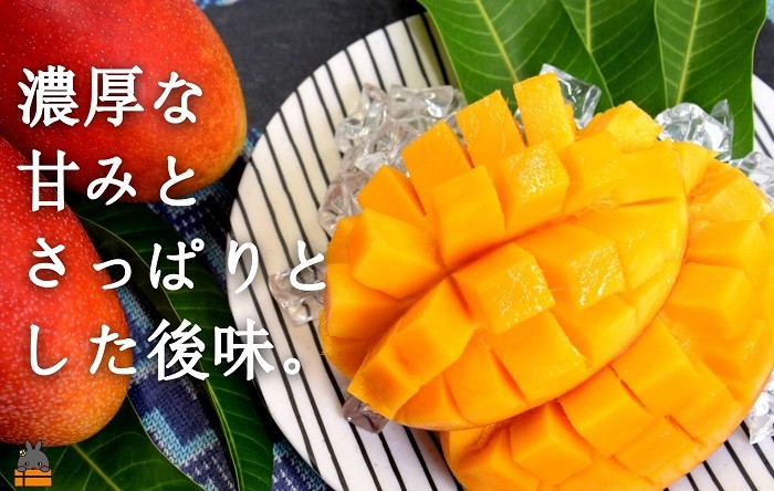 ハウス内を加温せず、てぃだ（太陽）の恵みだけでじっくりゆっくり育てた自慢のマンゴーです。