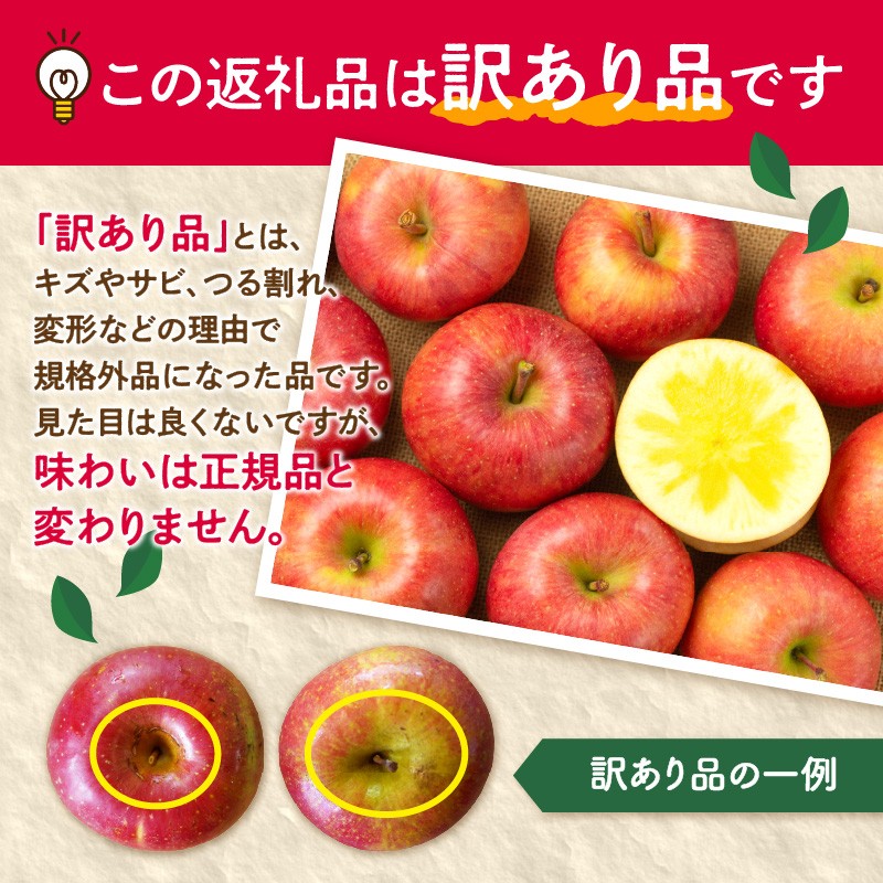 《先行受付》訳ありこうとくりんご約4.5kg 【2026年11月中旬頃～発送予定】【山形りんご・大地農産・11月・12月】