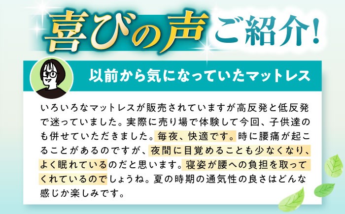 エアウィーブ マットレス マットレスパッド 敷きパッド エアリーブ エアリーヴ エアウィーブ マットレス 寝具 快眠 睡眠