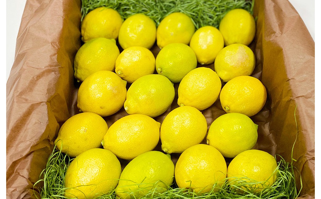 環境マイスターのレモン 2kg（無肥料／栽培期間中農薬を減らして栽培）