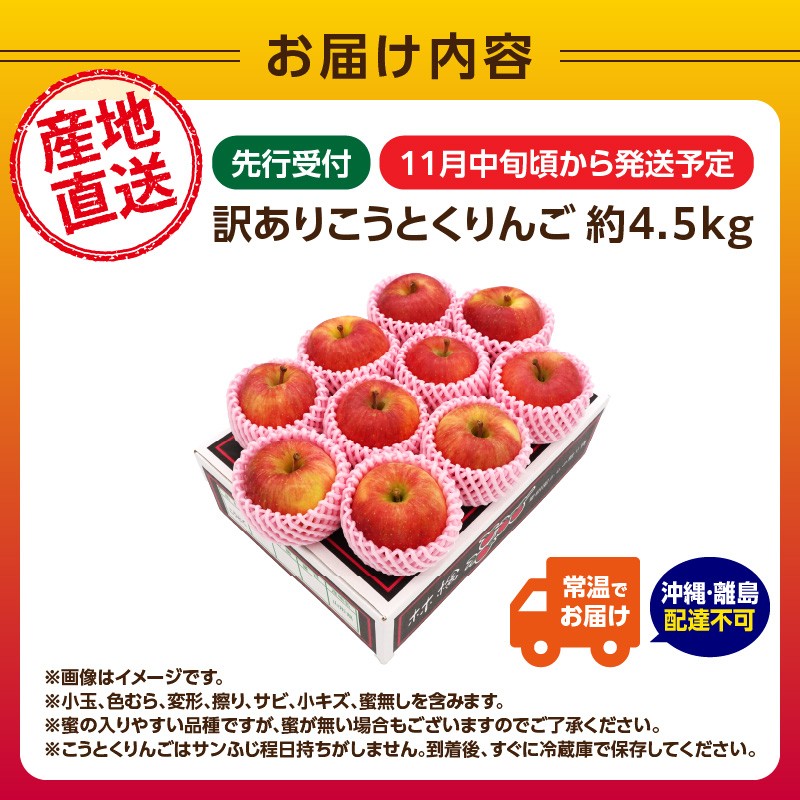 《先行受付》訳ありこうとくりんご約4.5kg 【2026年11月中旬頃～発送予定】【山形りんご・大地農産・11月・12月】