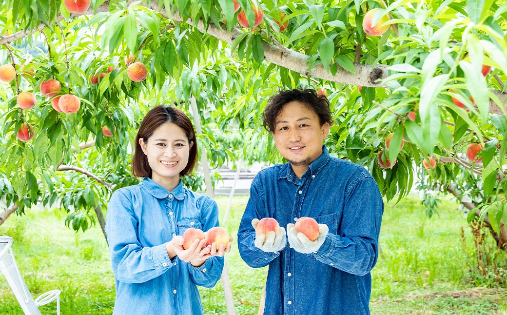 桃 （ 嶺鳳 ・ 川中島白桃 ）  約2kg （ 6ー9玉） 【2026年7月上旬ー8月上旬発送予定】　 