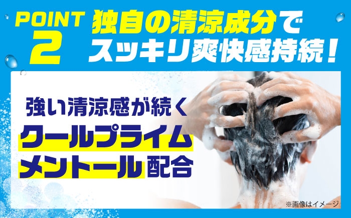 シャンプー リンス トリートメント リンスイン リンスインシャンプー メンズ 男性 男性用 メントール サンスター 日用品