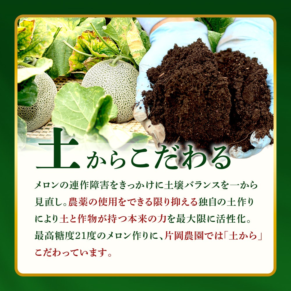 LINEでお友達になると「片岡農園」の栽培工程やお得な情報などを受け取れます！