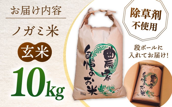  玄米 10kg 弥山岳の岩清水で育ったノガミファームのお米 