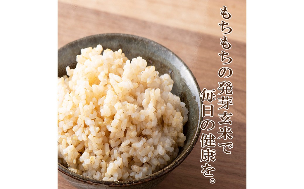 発芽玄米(大分県産ミルキークイーン) 無洗米1.5kg×1袋(1.5kg)