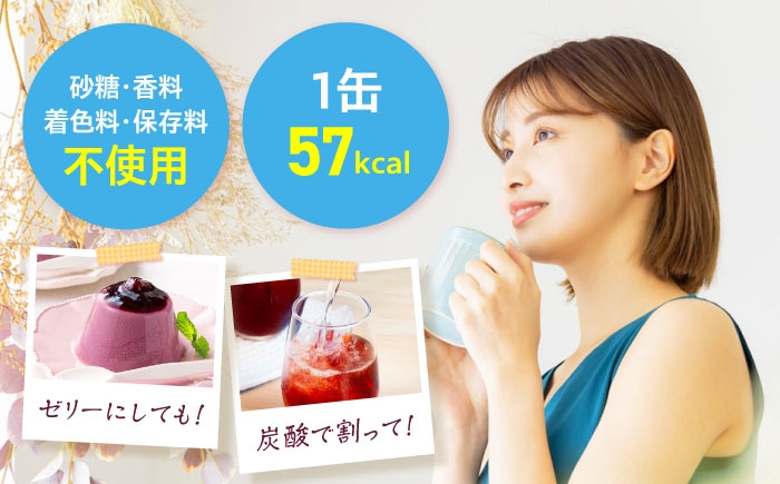 健康飲料 野菜飲料 野菜ジュース 無添加 果物 栄養バランス ベリー 大容量