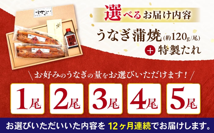 うなぎ 鰻 ウナギ unagi うなぎ蒲 冷凍