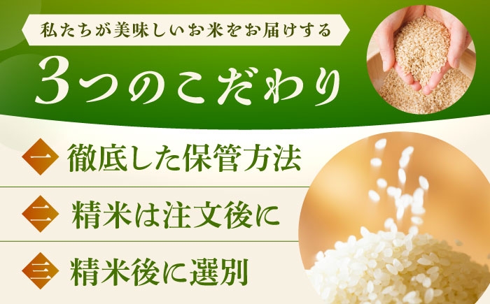 令和7年産 さがびより 20kg 5kg×4袋 佐賀県産 令和7年度産 米 おこめ お米 白米 こめ ライス rice kome