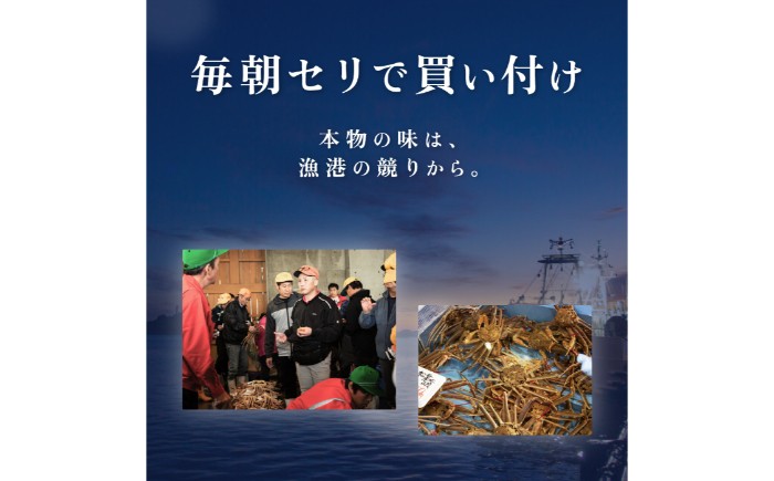 D25-019 鳥取産 特撰 紅ズワイガニ【釜茹で】3kg 6～7杯