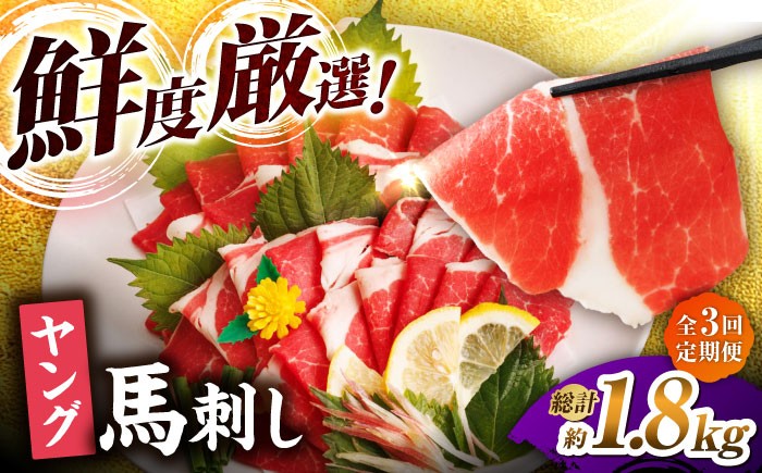 馬刺し ヤング 馬刺し 馬肉 桜肉 馬 肉 便利 小分け 6パック タレ付き 歯ごたえ 冷凍 刺身 九州 熊本県 送料無料 