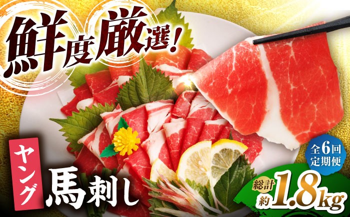 馬刺し ヤング 馬刺し 馬肉 桜肉 馬 肉 便利 小分け 3パック タレ付き 歯ごたえ 冷凍 刺身 九州 熊本県 送料無料 