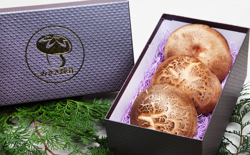 美咲町産 しいたけカッシーファームのみさき輝茸(みさきてるたけ) 3～5個合計約500g