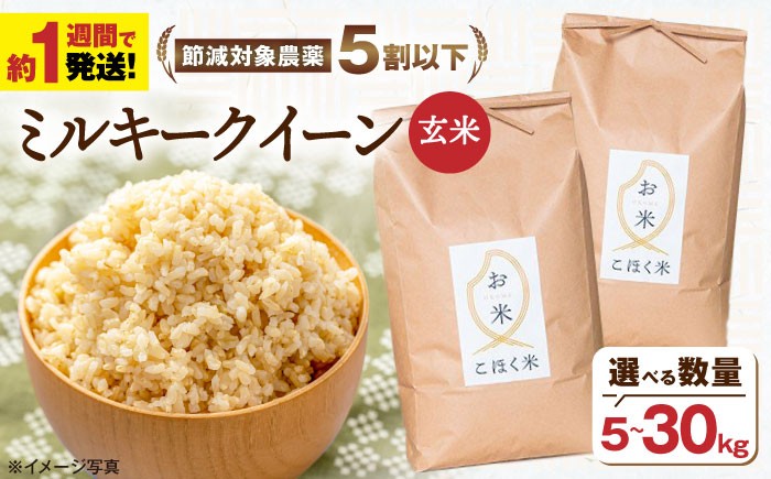 【選べる容量】 滋賀県湖北産 湖北のミルキークイーン 5・10・20・30kg (玄米)　米 お米 ご飯 ごはん ゴハン