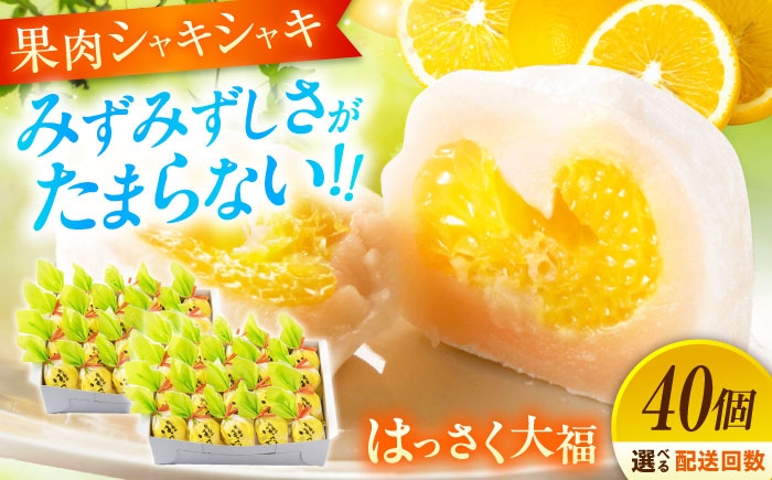 お菓子 はっさく大福