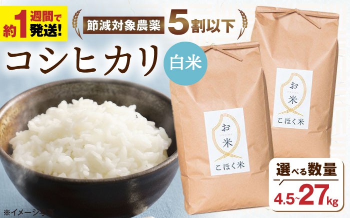  米 お米 ご飯 白米 こしひかり 近江米 滋賀県産 長浜市産 こめ 玄米 白米 精米 お米  食品 ふるさと納税 国産