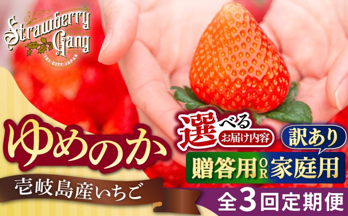  まとめ買い 人気 ギフト 食材 いちご イチゴ 苺  食べ比べ 果物 フルーツ