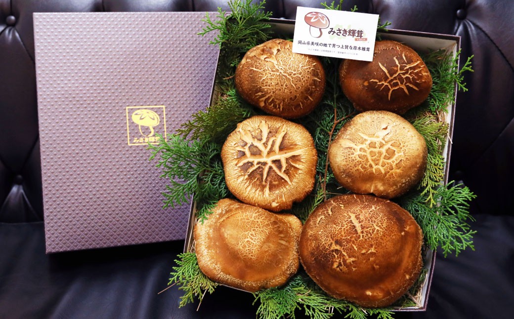 美咲町産しいたけカッシーファームのみさき輝茸(みさきてるたけ) 6～10個 合計約1kg