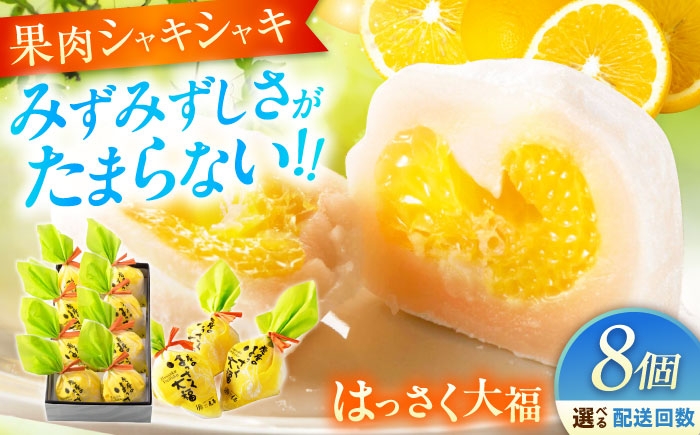 お菓子 はっさく大福