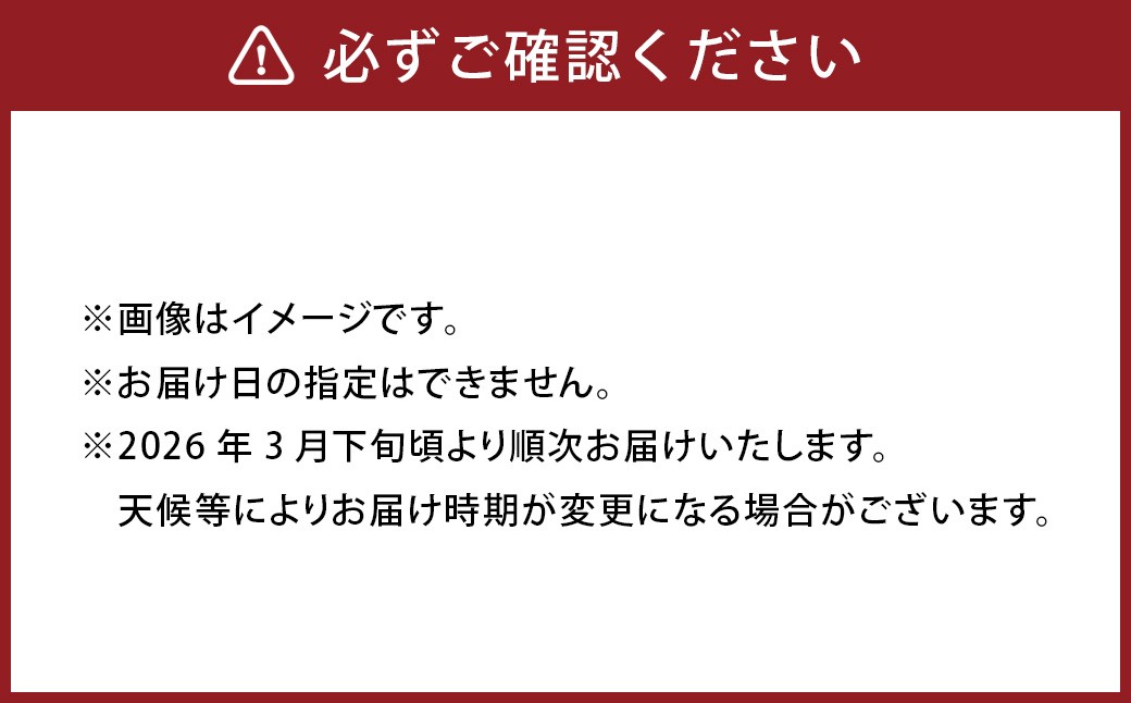熊本産 おにつか農園 こだわり 不知火