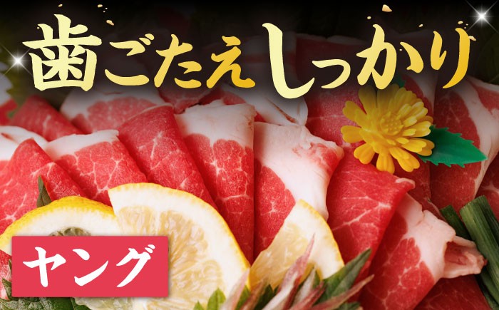 馬刺し ヤング 馬刺し 馬肉 桜肉 馬 肉 便利 小分け 6パック タレ付き 歯ごたえ 冷凍 刺身 九州 熊本県 送料無料 