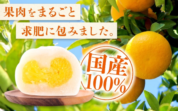 爽やかに広がる、はっさくの贅沢モチスイーツ 大福 はっさく 八朔 フルーツ大福