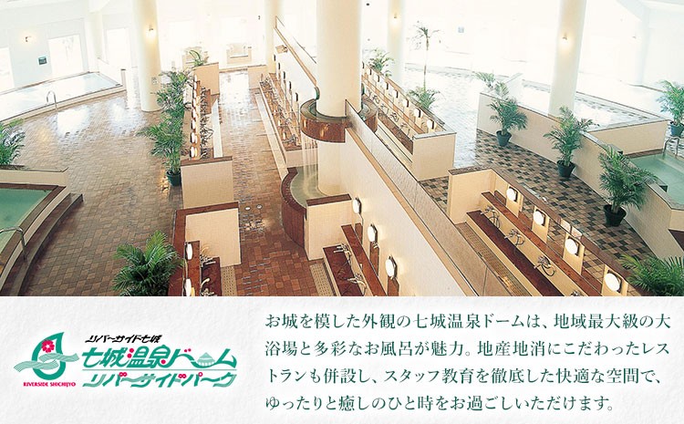 七城温泉ドーム 入浴券 12枚綴り チケット 温泉 サウナ 11種類 総合施設