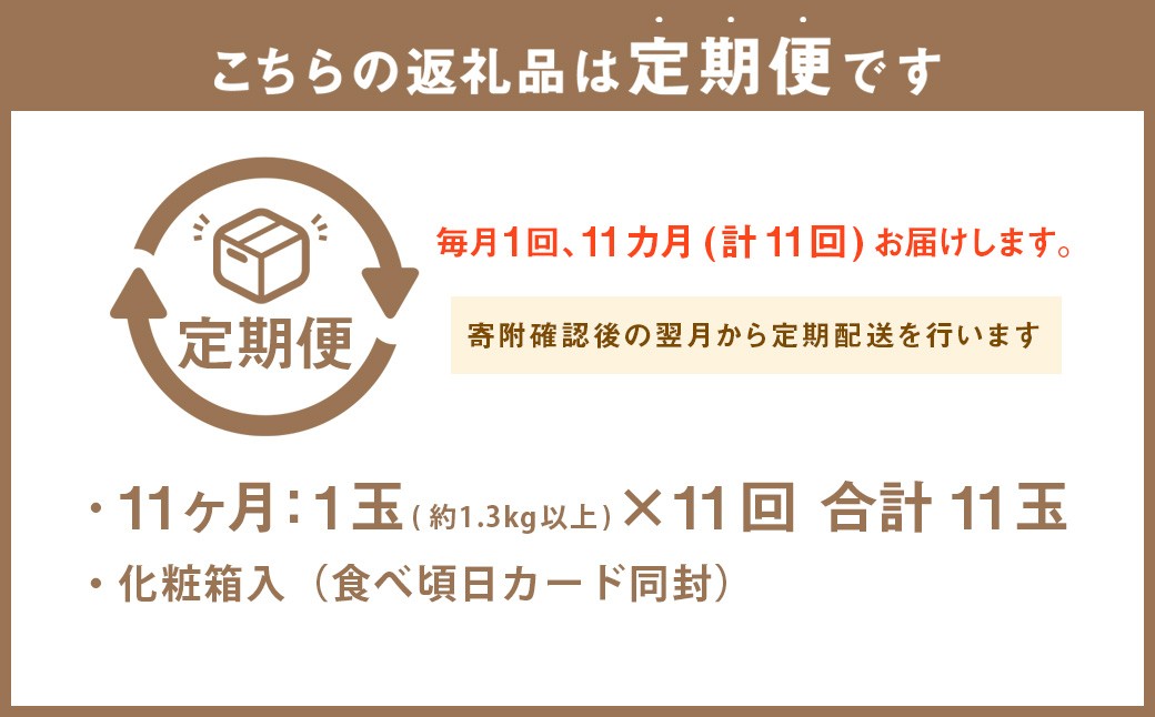 静岡県産高級 アローマメロン 白等級 約1.3kg以上×中玉1玉