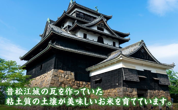 米 お米 白米 精米 はくまい こめ ご飯 ごはん 美味しい 国産 お取り寄せ 産地直送 おすすめ 人気