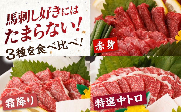  馬刺し 食べ比べ セット 霜降り馬刺し 馬肉 桜肉 霜降り 中トロ 赤身 タレ付き 冷凍 刺身 九州 熊本県 特産品 山鹿