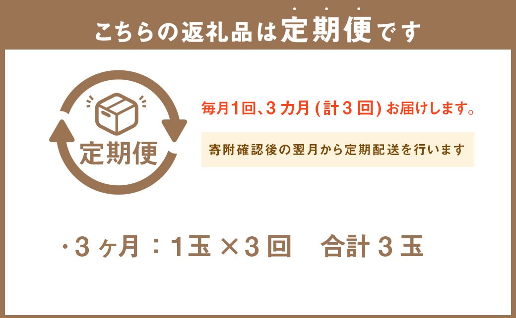 【3ヶ月定期便】静岡県産 高級 アローマメロン 小玉 1玉 約2.7kg以上 化粧箱入