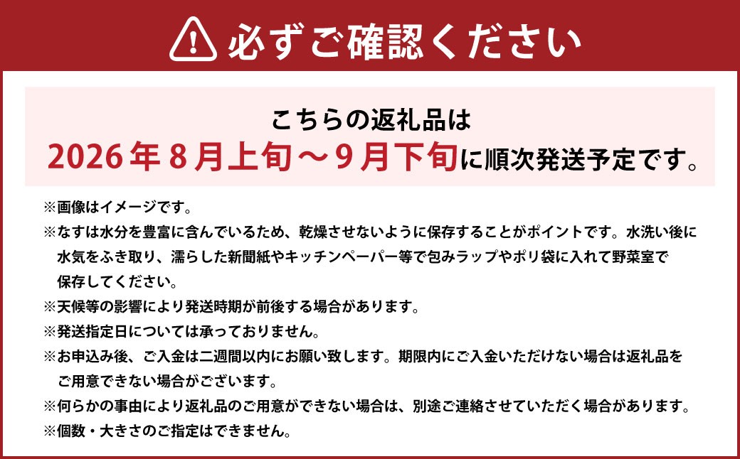 美咲町産 なす カッシーファームのみさきなす 1個 約1kg