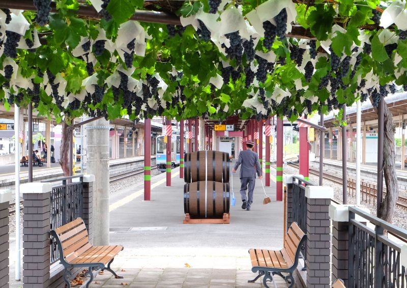 わが国有数の銘醸地、信州しおじりのワインをお楽しみください。