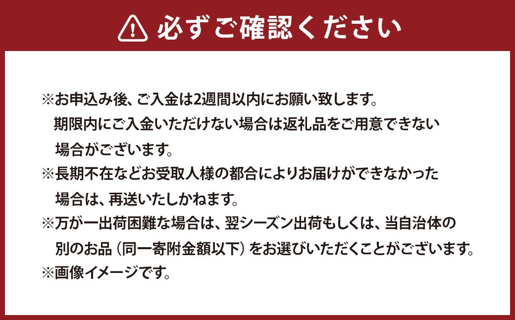 【訳あり（小玉）】桃 3kg （8～10玉）