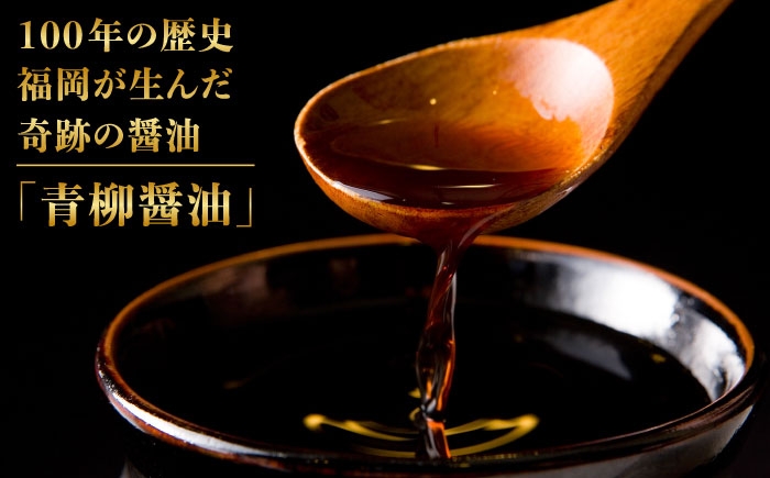 福岡 名物 無添加 国産 もつ鍋 もつなべ モツ 鍋セット うどん 博多