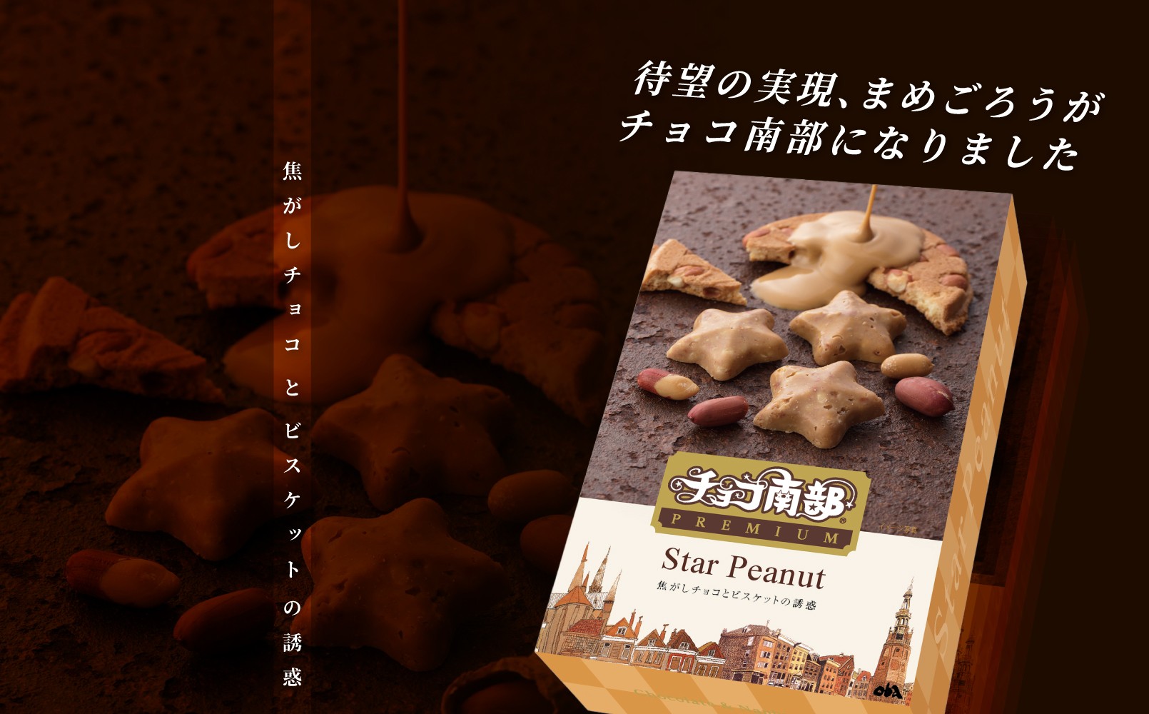 【季節限定】 チョコ南部PREMIUM Star Peanut