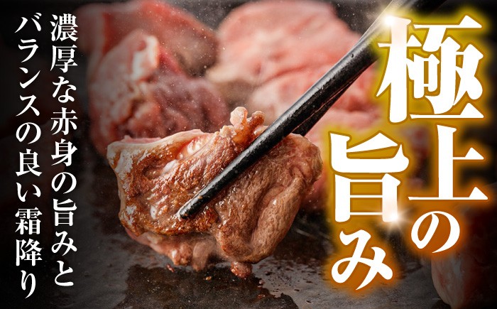 牛肉 ぎゅうにく 和牛 肉 にく 牛 ヒレ ヒレステーキ サイコロステーキ ステーキ ひれ フィレ ヘレ さいころ すてーき