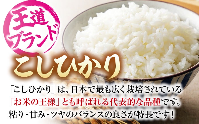 お米 盆地そだち こしひかり 5kg 令和7年産 小分け 米 精米 白米 新米