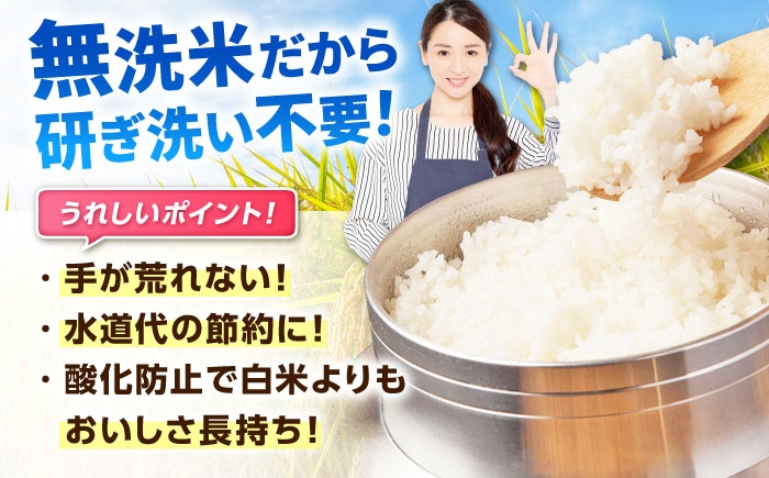 特A獲得！さがびより 無洗米 3kg | ごはん 米 お米 白米 こめ