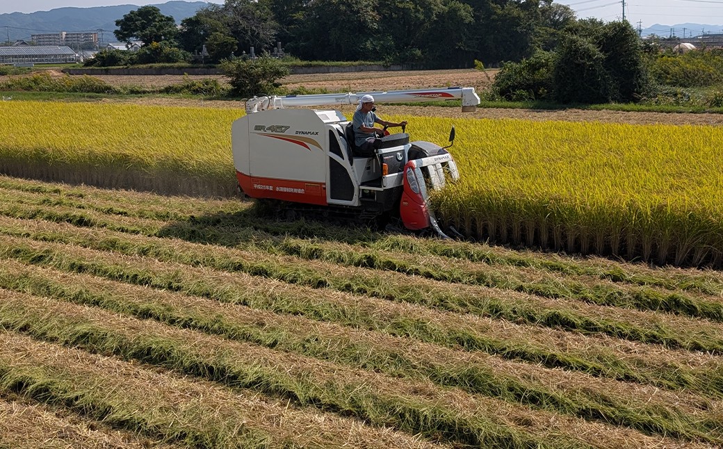福岡県産実りつくし5kg×1袋