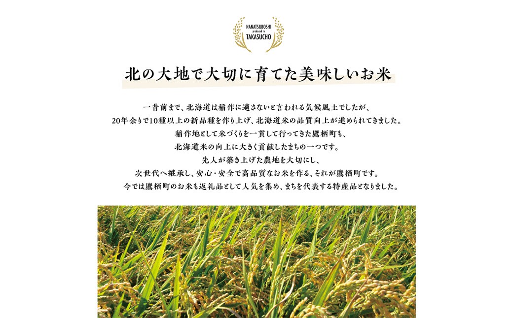 【令和7年産】 ななつぼし （白米） 5kg×1袋