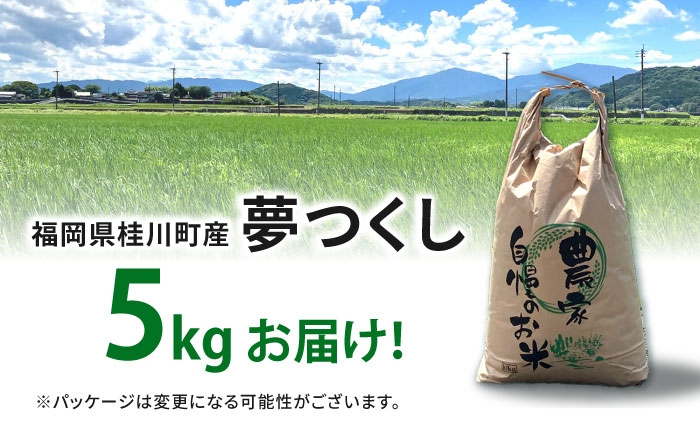 お米 白米 5kg 夢つくし